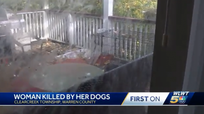 俄亥俄州一女子被自家宠物狗咬伤后死亡