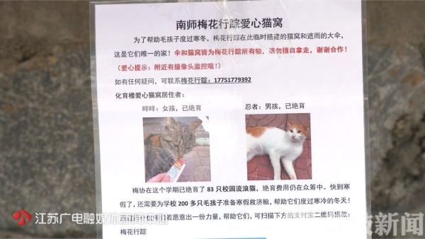 南师大仙林校区出现了20多个爱心猫窝