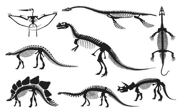 恐龙有哪些种类？史前生物科普下