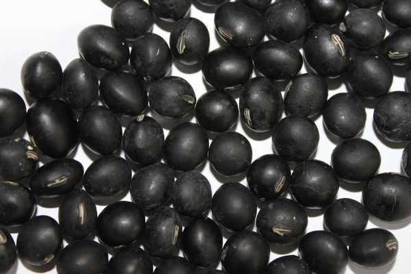黑豆的功效与作用及食用方法