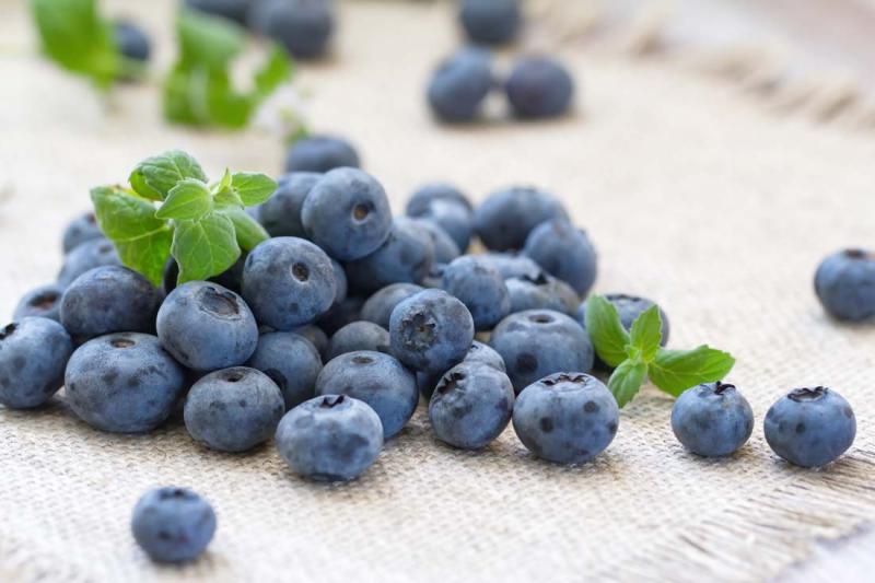 蓝莓的营养价值