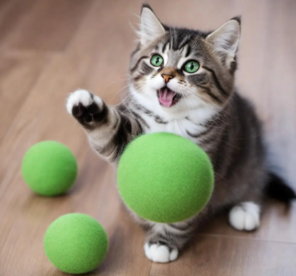 猫薄荷球可以一直给猫玩吗